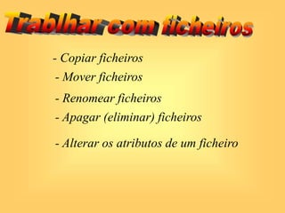 - Copiar ficheiros
- Mover ficheiros
- Renomear ficheiros
- Apagar (eliminar) ficheiros
- Alterar os atributos de um ficheiro
 