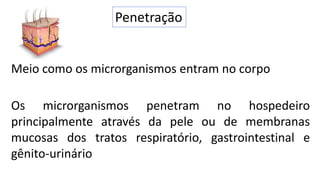 Penetração
Os microrganismos penetram no hospedeiro
principalmente através da pele ou de membranas
mucosas dos tratos respiratório, gastrointestinal e
gênito-urinário
Meio como os microrganismos entram no corpo
 