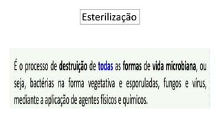 Esterilização
 