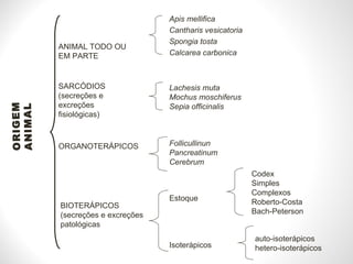 ORIGEM ANIMAL ANIMAL TODO OU EM PARTE SARCÓDIOS (secreções e excreções fisiológicas) ORGANOTERÁPICOS Apis mellifica Cantharis vesicatoria Spongia tosta Calcarea carbonica Lachesis muta Mochus moschiferus Sepia officinalis Follicullinun Pancreatinum Cerebrum BIOTERÁPICOS (secreções e excreções patológicas Estoque Isoterápicos auto-isoterápicos hetero-isoterápicos Codex Simples Complexos Roberto-Costa Bach-Peterson 