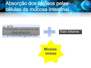 Absorção dos lipídeos pelas
células da mucosa intestinal
• AGL
• Colesterol livre
• 2-monoacilgliceróis
Principais produtos da
degradação Sais biliares
Micelas
mistas
 
