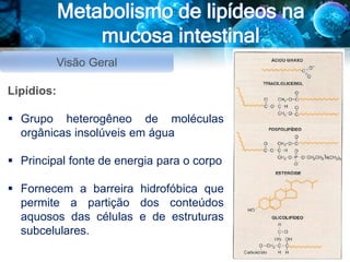 Metabolismo de lipídeos na
mucosa intestinal
Visão Geral
Lipídios:
 Grupo heterogêneo de moléculas
orgânicas insolúveis em água
 Principal fonte de energia para o corpo
 Fornecem a barreira hidrofóbica que
permite a partição dos conteúdos
aquosos das células e de estruturas
subcelulares.
 