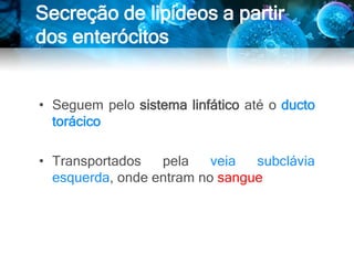 • Seguem pelo sistema linfático até o ducto
torácico
• Transportados pela veia subclávia
esquerda, onde entram no sangue
Secreção de lipídeos a partir
dos enterócitos
 