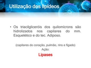 • Os triacilgliceróis dos quilomícrons são
hidrolizados nos capilares do mm.
Esquelético e do tec. Adiposo.
(capilares do coração, pulmão, rins e fígado)
Ação:
Lipases
Utilização dos lipídeos
 