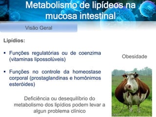 Metabolismo de lipídeos na
mucosa intestinal
Visão Geral
Lipídios:
 Funções regulatórias ou de coenzima
(vitaminas lipossolúveis)
 Funções no controle da homeostase
corporal (prostaglandinas e homônimos
esteróides)
Deficiência ou desequilíbrio do
metabolismo dos lipídios podem levar a
algun problema clínico
Obesidade
 