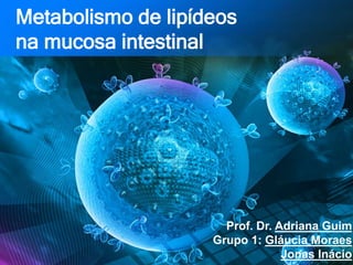 Metabolismo de lipídeos
na mucosa intestinal
Prof. Dr. Adriana Guim
Grupo 1: Gláucia Moraes
Jonas Inácio
 