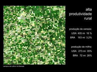 alta
                              produtividade
                                       rural

                              produção de cereais:
                                USA 405 mi 16 %
                              BRA    163 mi 3,2%


                               produção de milho:
                                USA 273 mi 35%
                                 BRA 72 mi 26%



campos de cultivo no Kansas
 