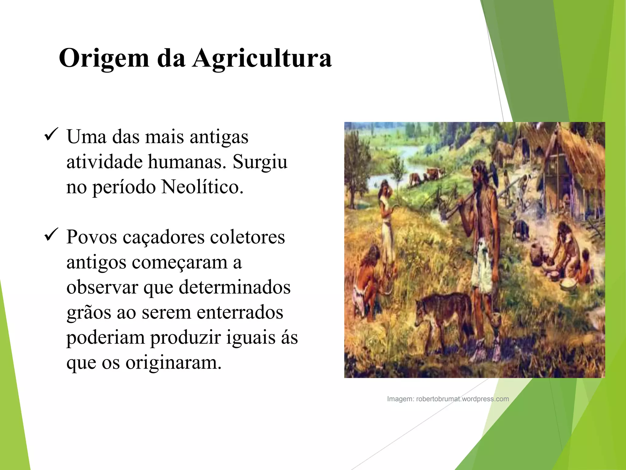 AULA 02 ORIGEM DA AGRICULTURA.pptx