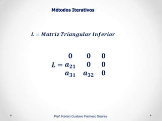 Métodos Iterativos
Prof. Renan Gustavo Pacheco Soares
 