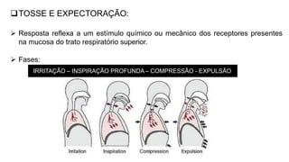 IRRITAÇÃO – INSPIRAÇÃO PROFUNDA – COMPRESSÃO - EXPULSÃO
TOSSE E EXPECTORAÇÃO:
 Resposta reflexa a um estímulo químico ou mecânico dos receptores presentes
na mucosa do trato respiratório superior.
 Fases:
 