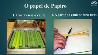 O papel de Papiro
1. Cortava-se o caule 2. A partir do caule se fazia tiras
 