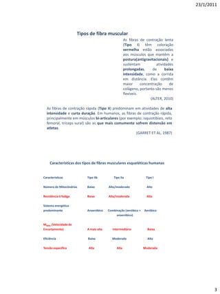 23/1/2011




                       Tipos de fibra muscular
                                                     As fibras de contração lenta
                                                     (Tipo I) têm coloração
                                                     vermelha estão associadas
                                                     aos músculos que mantêm a
                                                     postura(antigravitacionais) e
                                                     sustentam           atividades
                                                     prolongadas,      de     baixa
                                                     intensidade, como a corrida
                                                     em distância. Elas contêm
                                                     maior      concentração     de
                                                     colágeno, portanto são menos
                                                     flexíveis.
                                                                      (ALTER, 2010)

  As fibras de contração rápida (Tipo II) predominam em atividades de alta
  intensidade e curta duração. Em humanos, as fibras de contração rápida,
  principalmente em músculos bi-articulares (por exemplo: isquiotibiais, reto
  femoral, tríceps sural) são as que mais comumente sofrem distensão em
  atletas.
                                                     (GARRET ET AL, 1987)




     Características dos tipos de fibras musculares esqueléticas humanas


Características            Tipo IIb         Tipo IIa               Tipo I

Número de Mitocôndrias     Baixo         Alto/moderado              Alto

Resistência à fadiga       Baixa         Alta/moderada              Alta

Sistema energético
predominante               Anaeróbico    Combinação (aeróbico +   Aeróbico
                                              anaeróbico)

MMÁX. (Velocidade de
Encurtamento)              A mais alta      Intermediária           Baixa

Eficiência                  Baixa          Moderada                 Alta

Tensão específica           Alta              Alta                Moderada




                                                                                             3
 