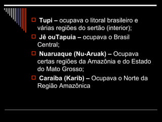 Tupi –  ocupava o litoral brasileiro e várias regiões do sertão (interior); Jê ouTapuia –  ocupava o Brasil Central; Nuaruaque (Nu-Aruak) –  Ocupava certas regiões da Amazônia e do Estado do Mato Grosso; Caraíba (Karib) –  Ocupava o Norte da Região Amazônica 