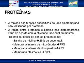 PROTEÍNAS A maioria das funções específicas de uma biomembrana são realizadas por proteínas. A razão entre proteínas e lipídios nas biomembranas varia de acordo com a atividade funcional da mesma. Exemplos: o teor de pontos presentes na: -   Bainha de mielina   25% do peso total. -   Membrana interna de mitocôndrias  75% - Membrana interna de cloroplastos  75% - Membrana plasmática   50%. 