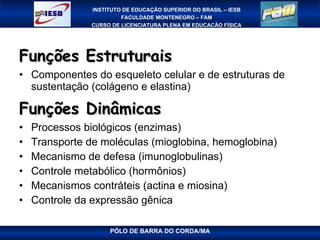 Funções Estruturais Componentes do esqueleto celular e de estruturas de sustentação (colágeno e elastina) Funções Dinâmicas Processos biológicos (enzimas) Transporte de moléculas (mioglobina, hemoglobina) Mecanismo de defesa (imunoglobulinas) Controle metabólico (hormônios) Mecanismos contráteis (actina e miosina) Controle da expressão gênica 