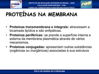 PROTEÍNAS NA MEMBRANA Proteínas transmembrana e integrais:  atravessam a bicamada lipídica e são anfipáticas.  Proteínas periféricas:  se prende a superfície interna e externa da membrana plasmática através de vários mecanismos.  Proteínas conjugadas:  apresentam outras substâncias (orgânicas ou inorgânicas) associadas à sua estrutura 