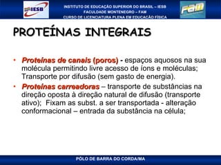 PROTEÍNAS INTEGRAIS Proteínas de canais  (poros)  -  espaços aquosos na sua molécula permitindo livre acesso de íons e moléculas; Transporte por difusão (sem gasto de energia). Proteínas carreadoras  – transporte de substâncias na direção oposta à direção natural de difusão (transporte ativo);  Fixam as subst. a ser transportada - alteração conformacional – entrada da substância na célula; 