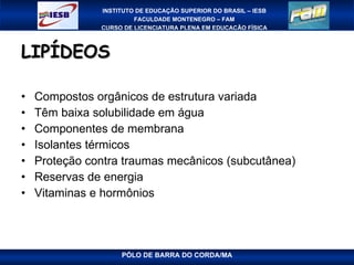 LIPÍDEOS  Compostos orgânicos de estrutura variada Têm baixa solubilidade em água Componentes de membrana Isolantes térmicos Proteção contra traumas mecânicos (subcutânea) Reservas de energia Vitaminas e hormônios 