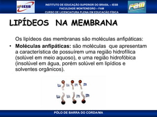 LIPÍDEOS  NA MEMBRANA Os lipídeos das membranas são moléculas anfipáticas:  Moléculas anfipáticas:  são moléculas  que apresentam a característica de possuírem uma região hidrofílica (solúvel em meio aquoso), e uma região hidrofóbica (insolúvel em água, porém solúvel em lipídios e solventes orgânicos). 