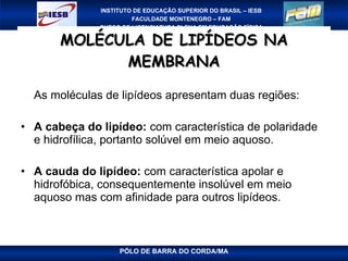 MOLÉCULA DE LIPÍDEOS NA MEMBRANA As moléculas de lipídeos apresentam duas regiões: A cabeça do lipídeo:  com característica de polaridade e hidrofílica, portanto solúvel em meio aquoso. A cauda do lipídeo:  com característica apolar e hidrofóbica, consequentemente insolúvel em meio aquoso mas com afinidade para outros lipídeos. 