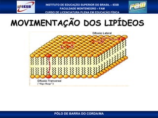 MOVIMENTAÇÃO DOS LIPÍDEOS  
