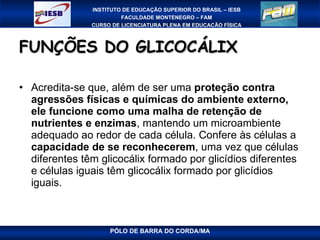 FUNÇÕES DO GLICOCÁLIX Acredita-se que, além de ser uma  proteção contra agressões físicas e químicas do ambiente externo, ele funcione como uma malha de retenção de nutrientes e enzimas , mantendo um microambiente adequado ao redor de cada célula. Confere às células a  capacidade de se reconhecerem , uma vez que células diferentes têm glicocálix formado por glicídios diferentes e células iguais têm glicocálix formado por glicídios iguais.  