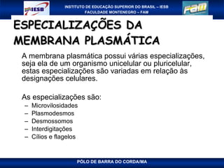 ESPECIALIZAÇÕES DA MEMBRANA PLASMÁTICA A membrana plasmática possui várias especializações, seja ela de um organismo unicelular ou pluricelular, estas especializações são variadas em relação às designações celulares. As especializações são:  Microvilosidades Plasmodesmos Desmossomos Interdigitações Cílios e flagelos 
