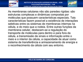 As membranas celulares não são paredes rígidas: são estruturas complexas e dinâmicas compostas por moléculas que possuem características especiais. Tais características fazem possível a existência de interações seletivas entre os sistemas de membranas internas na célula, e do meio que a rodeia. Entre outras funções da membrana celular, destacam-se a regulação do transporte de moléculas para dentro e para fora da célula, a transmissão de sinais e informação entre o meio e o interior da célula, a capacidade de atuar como sistema de transferência e armazenamento de energia e o reconhecimento da célula com seu entorno. 