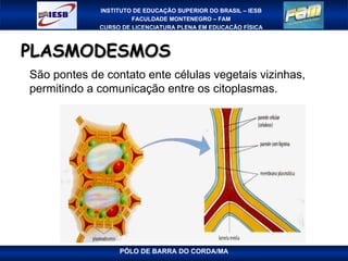 PLASMODESMOS São pontes de contato ente células vegetais vizinhas, permitindo a comunicação entre os citoplasmas. 