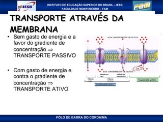 TRANSPORTE ATRAVÉS DA MEMBRANA Sem gasto de energia e a favor do gradiente de concentração    TRANSPORTE PASSIVO Com gasto de energia e contra o gradiente de concentração    TRANSPORTE ATIVO 