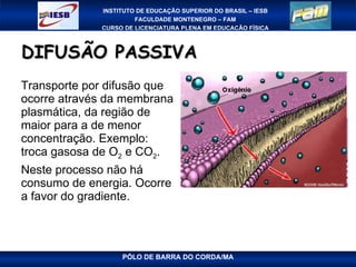 DIFUSÃO PASSIVA Transporte por difusão que ocorre através da membrana plasmática, da região de maior para a de menor concentração. Exemplo: troca gasosa de O 2  e CO 2 . Neste processo não há consumo de energia. Ocorre a favor do gradiente. 