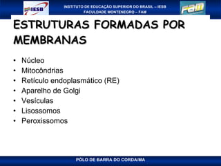 ESTRUTURAS FORMADAS POR MEMBRANAS Núcleo Mitocôndrias Retículo endoplasmático (RE) Aparelho de Golgi Vesículas Lisossomos Peroxissomos 