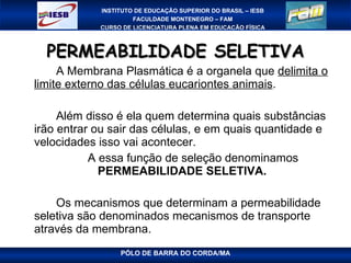 PERMEABILIDADE SELETIVA A Membrana Plasmática é a organela que  delimita o limite externo das células eucariontes animais . Além disso é ela quem determina quais substâncias irão entrar ou sair das células, e em quais quantidade e velocidades isso vai acontecer. A essa função de seleção denominamos  PERMEABILIDADE SELETIVA. Os mecanismos que determinam a permeabilidade seletiva são denominados mecanismos de transporte através da membrana. 