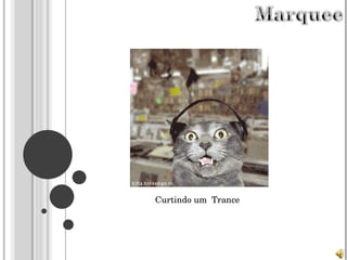 Curtindo um  Trance 
