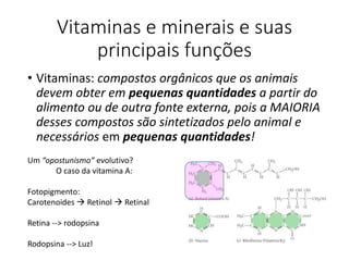 Vitaminas e minerais e suas
principais funções
• Vitaminas: compostos orgânicos que os animais
devem obter em pequenas quantidades a partir do
alimento ou de outra fonte externa, pois a MAIORIA
desses compostos são sintetizados pelo animal e
necessários em pequenas quantidades!
Um “opostunismo” evolutivo?
O caso da vitamina A:
Fotopigmento:
Carotenoides  Retinol  Retinal
Retina --> rodopsina
Rodopsina --> Luz!
 