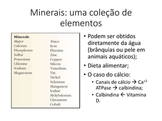 Minerais: uma coleção de
elementos
• Podem ser obtidos
diretamente da água
(brânquias ou pele em
animais aquáticos);
• Dieta alimentar;
• O caso do cálcio:
• Canais de cálcio  Ca+2
ATPase  calbindina;
• Calbindina  Vitamina
D.
 