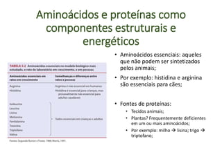 Aminoácidos e proteínas como
componentes estruturais e
energéticos
• Aminoácidos essenciais: aqueles
que não podem ser sintetizados
pelos animais;
• Por exemplo: histidina e arginina
são essenciais para cães;
• Fontes de proteínas:
• Tecidos animais;
• Plantas? Frequentemente deficientes
em um ou mais aminoácidos;
• Por exemplo: milho  lisina; trigo 
triptofano;
 