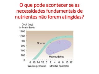 O que pode acontecer se as
necessidades fundamentais de
nutrientes não forem atingidas?
 