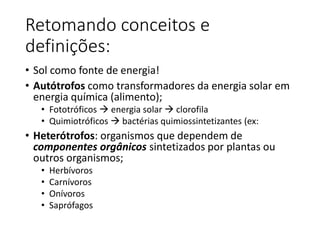 Retomando conceitos e
definições:
• Sol como fonte de energia!
• Autótrofos como transformadores da energia solar em
energia química (alimento);
• Fototróficos  energia solar  clorofila
• Quimiotróficos  bactérias quimiossintetizantes (ex:
• Heterótrofos: organismos que dependem de
componentes orgânicos sintetizados por plantas ou
outros organismos;
• Herbívoros
• Carnívoros
• Onívoros
• Saprófagos
 