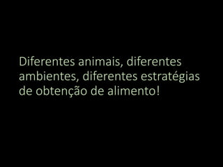 Diferentes animais, diferentes
ambientes, diferentes estratégias
de obtenção de alimento!
 