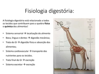 Fisiologia digestória:
A fisiologia digestória está relacionada a todos
os tecidos que contribuem para a quebra física
e química dos alimentos!
• Sistema sensorial  localização do alimento
• Boca, língua e dentes  digestão mecânica;
• Trato do GI  digestão física e absorção dos
alimentos;
• Sistema cardiovascular  transporte dos
nutrientes para os tecidos.
• Trato final do GI  excreção
• Sistema excretor  excreção
 