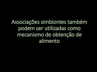 Associações simbiontes também
podem ser utilizadas como
mecanismo de obtenção de
alimento
 