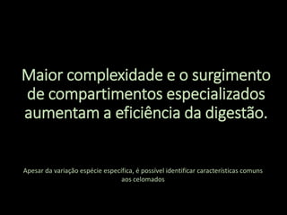 Maior complexidade e o surgimento
de compartimentos especializados
aumentam a eficiência da digestão.
Apesar da variação espécie específica, é possível identificar características comuns
aos celomados
 
