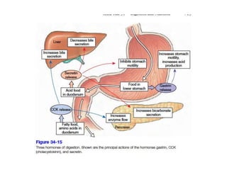Aula 03 e 04 - Alimento metabolismo e Digestão