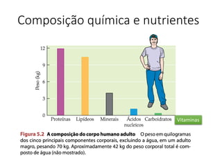 Composição química e nutrientes
Vitaminas
 