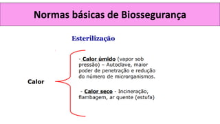 Normas básicas de Biossegurança
 