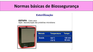 Normas básicas de Biossegurança
 