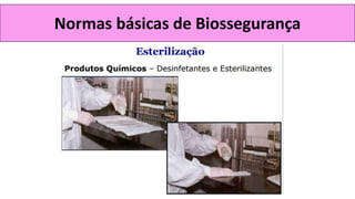 Normas básicas de Biossegurança
 