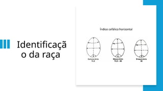 Identificaçã
o da raça
 