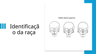 Identificaçã
o da raça
 